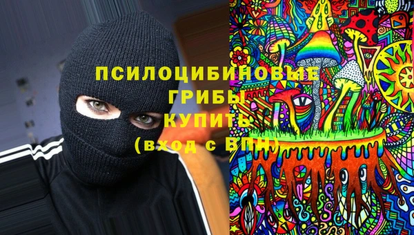 PSILOCYBIN Абдулино