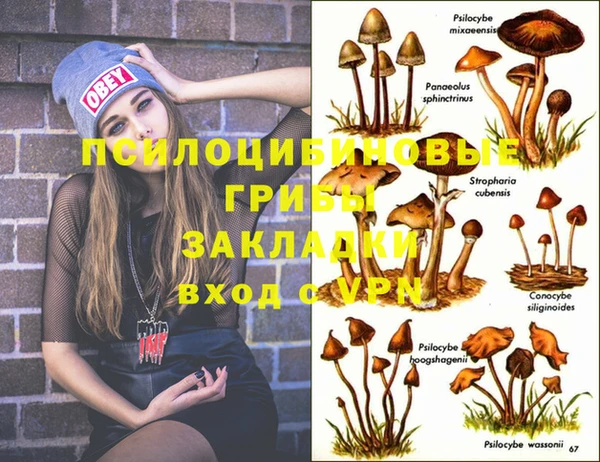 PSILOCYBIN Абдулино