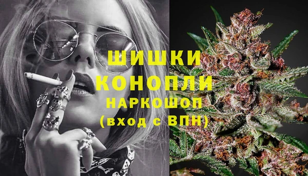 PSILOCYBIN Абдулино