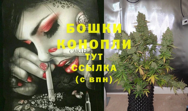 PSILOCYBIN Абдулино