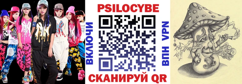 где купить наркоту  Шиханы  Псилоцибиновые грибы Psilocybe 