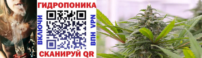 где найти наркотики Шиханы Канабис индика